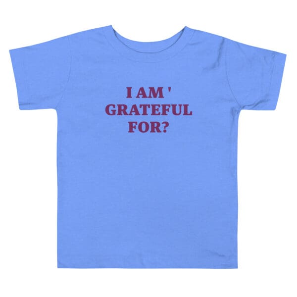 Toddler Short Sleeve Tee